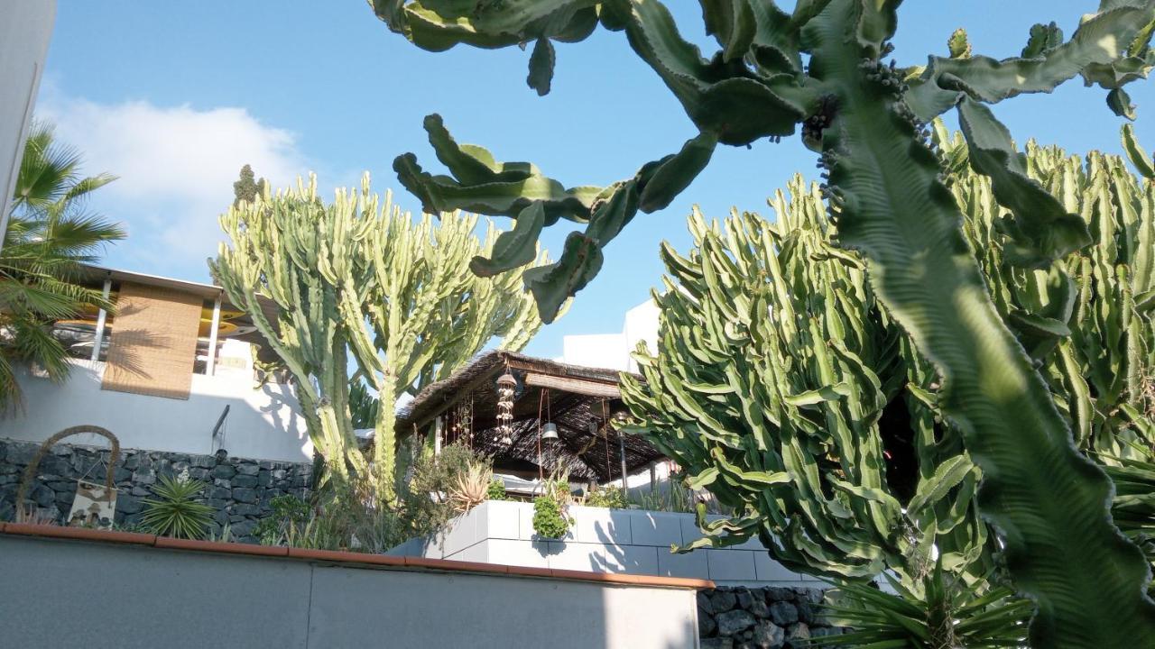 Apartamento Pardela Costa Adeje  Exterior foto